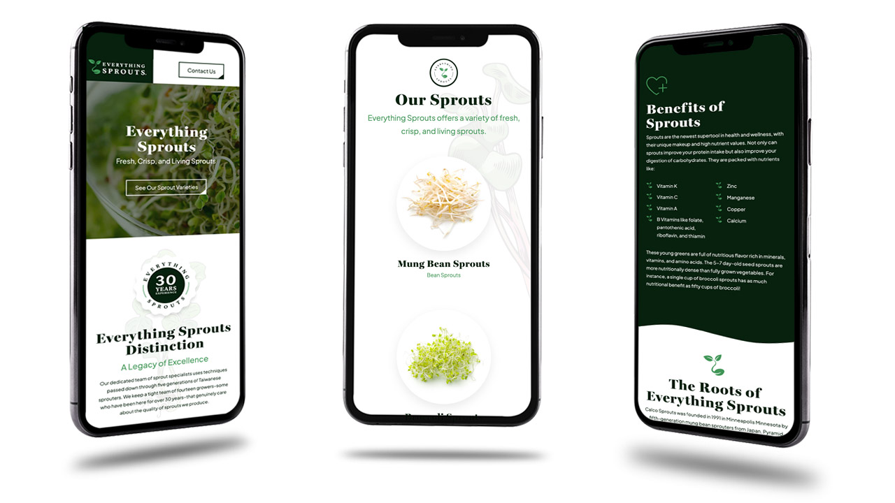 Everything Sprouts Website
