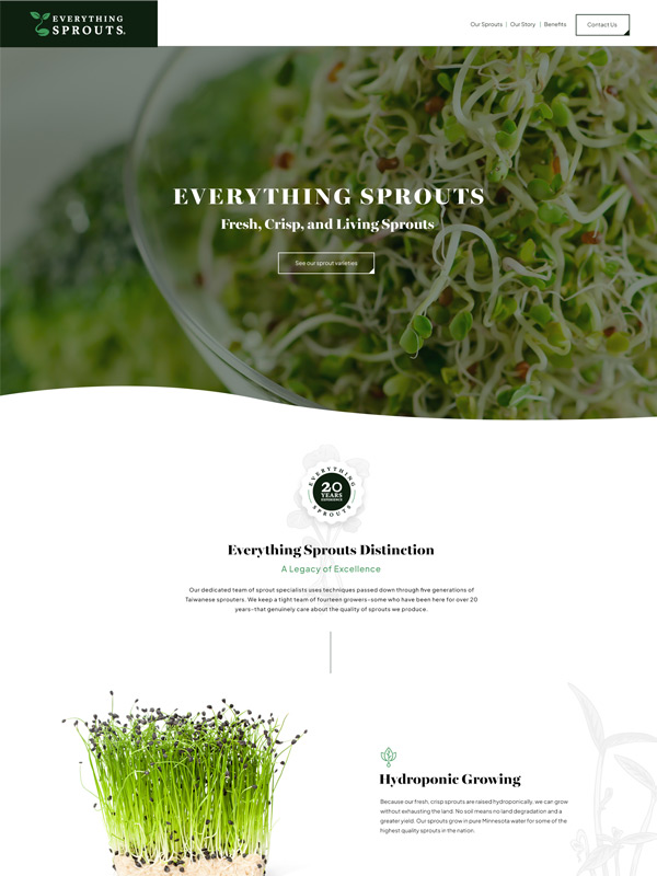 Everything Sprouts Website