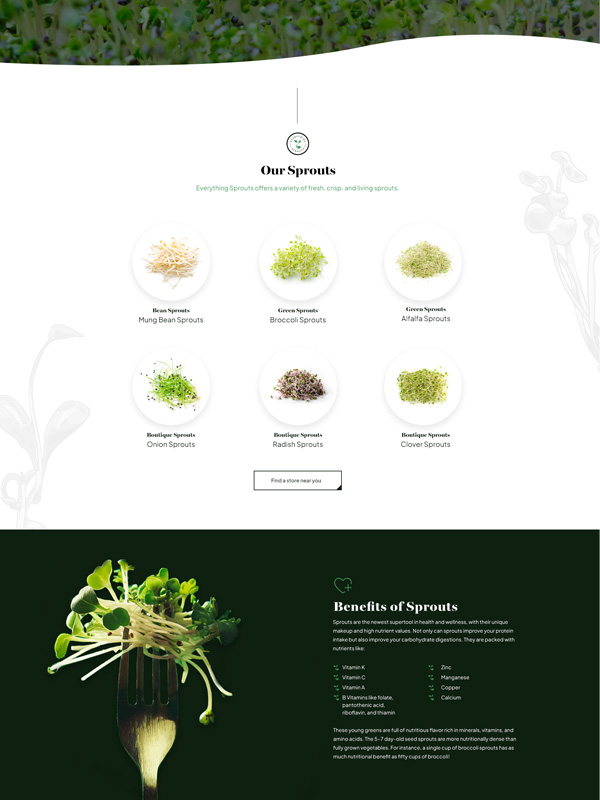 Everything Sprouts Website
