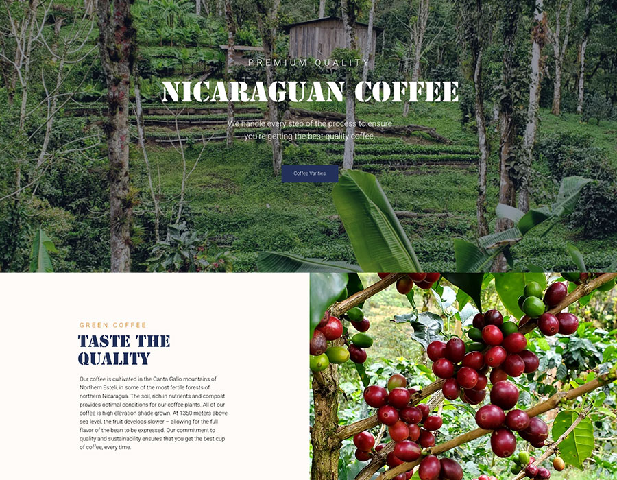 Coffee website design package
